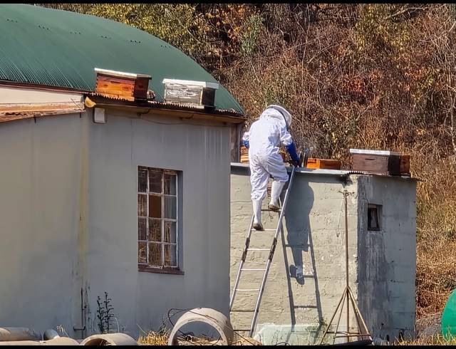 112HA FARM FOR SALE IN NELSPRUIT RURAL